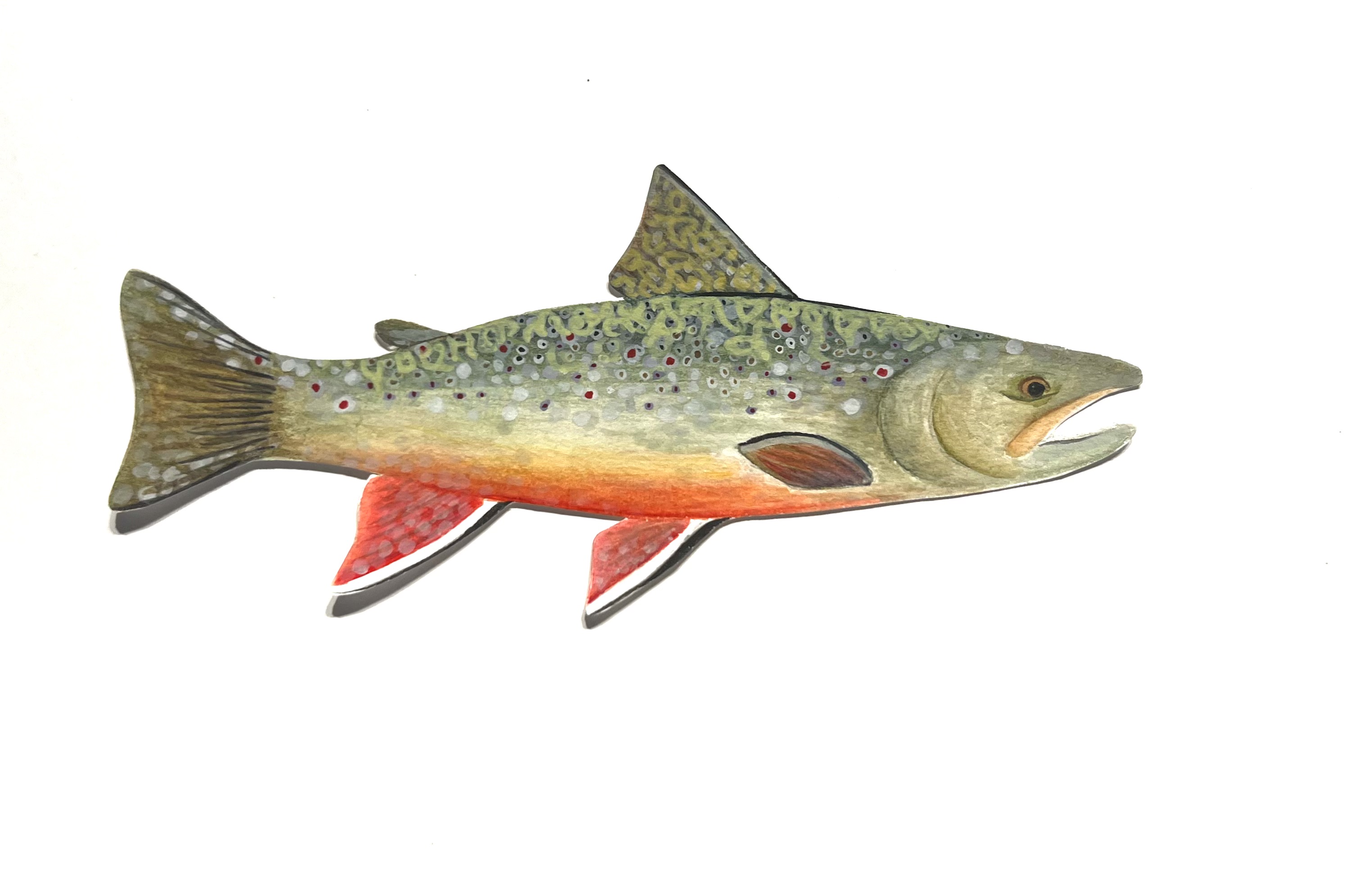 Brook Trout