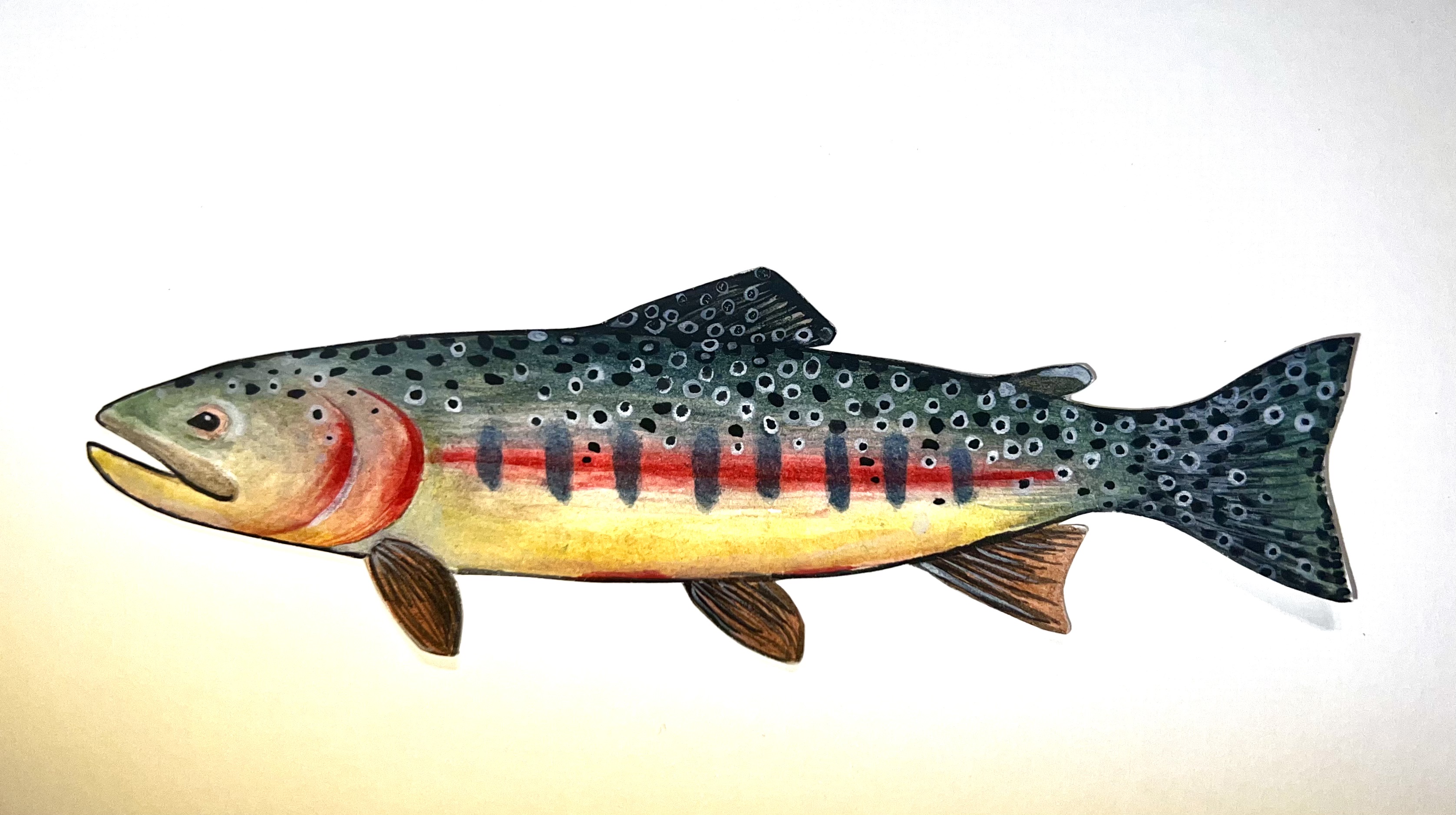 Cutthroat Trout